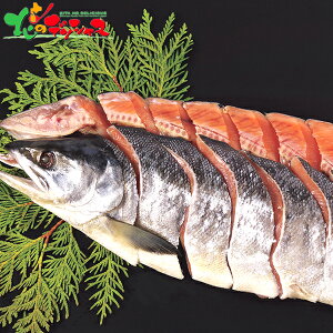 kCY Vpؐg (1.4kg) 2025 ~Mtg Ε Ε N N Mtg 蕨  j  Ԃ j v[g ƒp Y TP  H V V ؂g Z