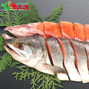 北海道産 新巻鮭姿切身 (2.0kg) 2025 冬ギフト お歳暮 御歳暮 お年賀 御年賀 ギフト 贈り物 贈答 お祝い お礼 お返し 内祝い プレゼント ご家庭用 水産 サケ 鮭 秋鮭 新巻さけ 新巻鮭 切り身 セッ