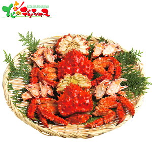 kCY ԍ炪ɂ̃{CJbg (2t) 2025 ~Mtg Ε Ε N N Mtg 蕨  j  Ԃ j v[g ƒp Y CN Jj I ͂ȂI niT