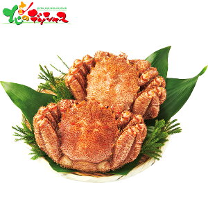 kCY {CуKj (2t) 2025 ~Mtg Ε Ε N N Mtg 蕨  j  Ԃ j v[g ƒp Y CN Jj I  PKj уKj ъI J