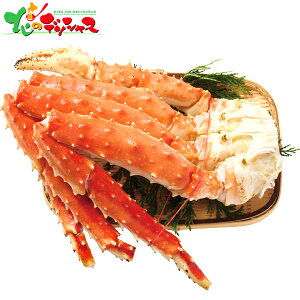 ^oI̋r (2/800g×2) 2025 ~Mtg Ε Ε N N Mtg 蕨  j  Ԃ j v[g ƒp CN  Jj I  ΃Jj ^o 