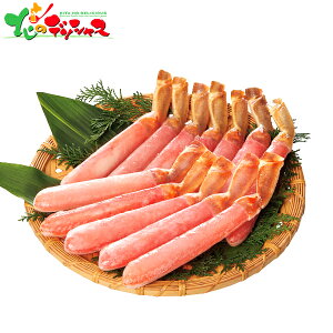  킢ɋr|[V (500g) 2025 ~Mtg Ε Ε N N Mtg 蕨  j  Ԃ j v[g ƒp Jj I g |[V  Jj