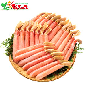 吶킢ɋr|[V (1kg) 2025 ~Mtg Ε Ε N N Mtg 蕨  j  Ԃ j v[g ƒp Y CN Jj I 킢I YCI Z