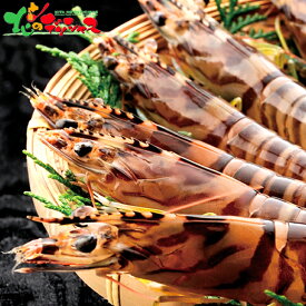 大型活き車海老 (230g) 2025 冬ギフト お歳暮 御歳暮 お年賀 御年賀 ギフト 贈り物 贈答 お祝い お礼 お返し 内祝い プレゼント ご家庭用 水産 海鮮 エビ クルマエビ 車エビ 海老 セット 詰め合わせ グルメ お取り寄せ