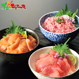 魚屋さんが作った3種の海鮮丼の具セット 2025 冬ギフト お歳暮 御歳暮 お年賀 御年賀 ギフト 贈り物 贈答 お祝い お礼 お返し 内祝い プレゼント ご家庭用 惣菜 水産 丼ぶり 海鮮丼 セット 詰め合わせ グルメ お取り寄せ