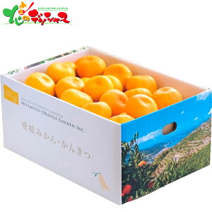 Q FaY B݂ (5kg) 2025 ~Mtg Ε Ε N N Mtg 蕨  j  Ԃ j v[g ƒp k ݂ ~J  ʕ t[c Zb