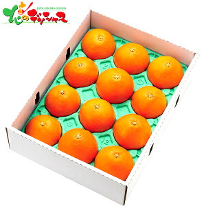 QY g܂ǂ Gi (3kg) 2025 ~Mtg Ε Ε N N Mtg 蕨  j  Ԃ j v[g ƒp k ݂ ~J  ʕ t[c Zbg