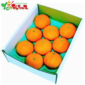 QY ܂ǂ (2kg/Qʎ28) 2025 ~Mtg Ε Ε N N Mtg 蕨  j  Ԃ j v[g ƒp k ݂ ~J  ʕ t[