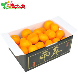 QY ̊ۂ݂ (2kg) 2025 ~Mtg Ε Ε N N Mtg 蕨  j  Ԃ j v[g ƒp k ݂ ~J  ʕ t[c Zbg l