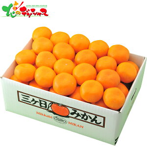 三ヶ日みかん (4kg) 2025 冬ギフト お歳暮 御歳暮 お年賀 御年賀 ギフト 贈り物 贈答 お祝い お礼 お返し 内祝い プレゼント ご家庭用 柑橘 みかん ミカン 蜜柑 果物 フルーツ セット 詰め合わせ