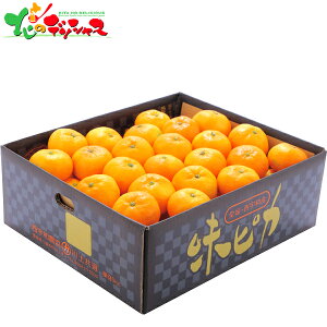 QY JAFa ҂݂ (5kg) 2025 ~Mtg Ε Ε N N Mtg 蕨  j  Ԃ j v[g ƒp k ݂ ~J  ʕ t[c 