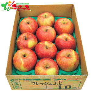 青森県産 葉とらずサンふじ (2.8kg) 2025 冬ギフト お歳暮 御歳暮 お年賀 御年賀 ギフト 贈り物 贈答 お祝い お礼 お返し 内祝い プレゼント ご家庭用 りんご リンゴ 林檎 サンふじ 果物 フルーツ