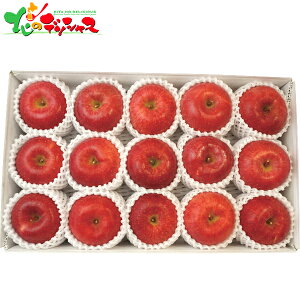 쌧Y Tӂ (3.4kg) 2025 ~Mtg Ε Ε N N Mtg 蕨  j  Ԃ j v[g ƒp  S ь Tӂ ʕ t[c 