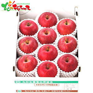 R`Y Tӂ (3kg) 2025 ~Mtg Ε Ε N N Mtg 蕨  j  Ԃ j v[g ƒp  S ь Tӂ ʕ t[c 