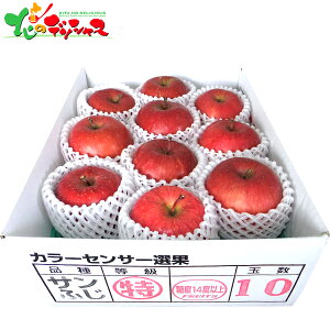 XY x14xȏTӂ (2.5kg) 2025 ~Mtg Ε Ε N N Mtg 蕨  j  Ԃ j v[g ƒp  S ь Tӂ ʕ t