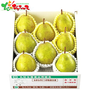 ݉̎R`Y EtX (2.5kg) 2025 ~Mtg Ε Ε N N Mtg 蕨  j  Ԃ j v[g ƒp m m tX ʕ t[