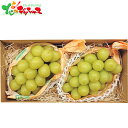 長野県産 シャインマスカット (2房) 2025 冬ギフト お歳暮 御歳暮 お年賀 御年賀 ギフト 贈り物 贈答 お祝い お礼 お返し 内祝い プレゼント ご家庭用 ぶどう ブドウ 葡萄 シャイン マスカット 果物 フルーツ セット 詰め合わせ グルメ お取り寄せ