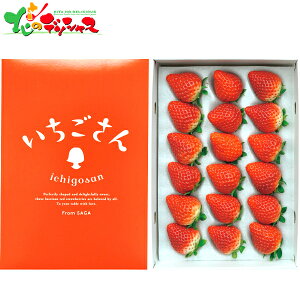 ꌧY  (400g) 2025 ~Mtg Ε Ε N N Mtg 蕨  j  Ԃ j v[g ƒp  C`S  Xgx[ ʕ t[c Z