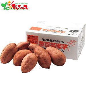Y SΖ ([/2kg) 2025 ~Mtg Ε Ε N N Mtg 蕨  j  Ԃ j v[g ƒp  C  ܂ ̂ 