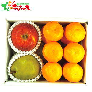 Lc݂EMBTӂ񂲁EEtXl 2025 ~Mtg Ε Ε N N Mtg 蕨  j  Ԃ j v[g ƒp k ~J S 