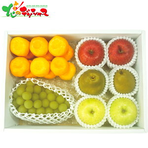 ґȍYt[c5l 2025 ~Mtg Ε Ε N N Mtg 蕨  j  Ԃ j v[g ƒp k ݂  Ԃǂ VC}XJbg