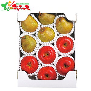 ݉̂񂲁EEtXl 2025 ~Mtg Ε Ε N N Mtg 蕨  j  Ԃ j v[g ƒp  tX ʕ t[c Z