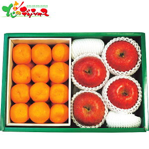 Lc݂ETӂ 2025 ~Mtg Ε Ε N N Mtg 蕨  j  Ԃ j v[g ƒp k ~J  S ь ʕ t