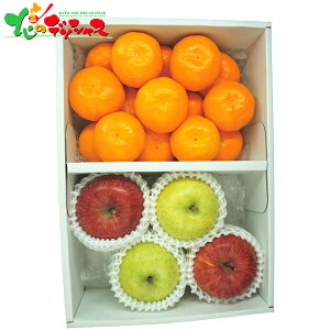 有田みかん・サンふじりんご・王林りんご 2025 冬ギフト お歳暮 御歳暮 お年賀 御年賀 ギフト 贈り物 贈答 お祝い お礼 お返し 内祝い プレゼント ご家庭用 柑橘 みかん ミカン 蜜柑 リンゴ サ