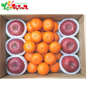 ݂E񂲃Zbg 2025 ~Mtg Ε Ε N N Mtg 蕨  j  Ԃ j v[g ƒp k ݂ ~J  S ь ʕ t[c Z