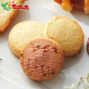 _˘Q Kg[ZNV GS-30 2025 ~Mtg Ε Ε N N Mtg 蕨  j  Ԃ j v[g ƒp َq ĉَq NbL[ uEj[ Zbg 