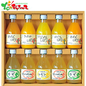 ɓ_ 100sAW[XhNZbg V-052 2025 ~Mtg Ε Ε N N Mtg 蕨  j  Ԃ j v[g ƒp  hN t[c