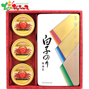 q̂ ̂EɊʋl SN-300 2025 ~Mtg Ε Ε N N Mtg 蕨  j  Ԃ j v[g ƒp C ĂC y ɂق Ɋ J