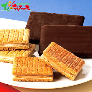 VK[o^[̖ RNV 46ܓ SB-E0 2025 ~Mtg Ε Ε N N Mtg 蕨  j  Ԃ j v[g ƒp َq mَq Ăَq pC o^