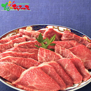 ߍ] 󏭕 ēp (v600g) 2025 ~Mtg Ε Ε N N Mtg 蕨  j  Ԃ j v[g ƒp   ߍ]  o J^ ē Zbg l