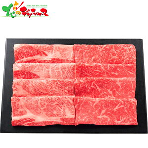 䋍 [XE ĂZbg (v500g) 2025 ~Mtg Ε Ε N N Mtg 蕨  j  Ԃ j v[g ƒp    a [X 