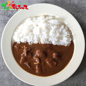 YΏēނ̂J[ MtgZbg TMK-30 2025 ~Mtg Ε Ε N N Mtg 蕨  j  Ԃ j v[g ƒp y J[ g