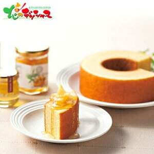 Rc{I v~AXC[cMtg PSH-50 2025 ~Mtg Ε Ε N N Mtg 蕨  j  Ԃ j v[g ƒp َq mَq Ăَq oEN[