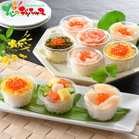 小樽海洋水産 プチ海鮮丼セット2026 冬ギフト 寒中見舞い 余寒見舞い ギフト 贈り物 お祝い お礼 お返し 内祝い 結婚祝い 出産祝い プレゼント 丼 海鮮 海鮮丼 ミニどんぶり パーティー オードブル セット 詰め合わせ 北海道 グルメ 送料無料 お取り寄せ