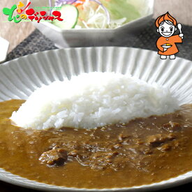 リトルスプーン 北海道熟成カレー4個セット2026 冬ギフト 寒中見舞い 余寒見舞い ギフト 贈り物 お祝い お礼 お返し 内祝い 結婚祝い 出産祝い お見舞い 快気祝い プレゼント 洋食 カレー レトルト セット 詰め合わせ 北海道 グルメ 送料無料 お取り寄せ
