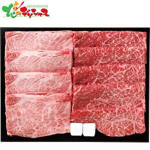 䋍 [XE Ă Hה Zbg (v800g) 2025 Mtg 蕨  j  Ԃ j v[g  Ε   ₫ Ă Hו Zbg lߍ킹 