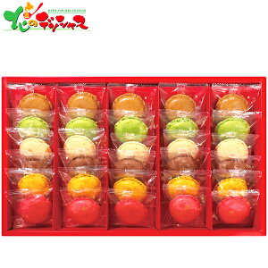 DALLOYAU PARIS ダロワイヨ マカロンラスク (30枚) MRU30 2025 ギフト 贈り物 贈答 お祝い お礼 お返し 内祝い プレゼント お中元 お歳暮 洋菓子 焼菓子 マカロン ラスク スイーツ セット 詰め合わせ