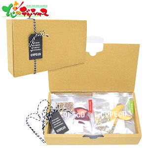 RyR hCt[ceB[ 10Zbg (n[ueB[) 2025 Mtg 蕨  j  Ԃ j v[g  Ε g   t eB[^C hCt[c 