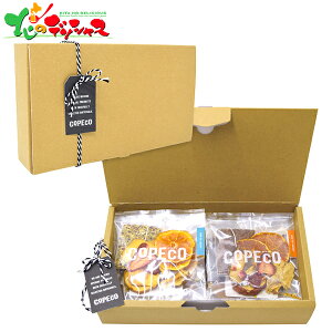 RyR XyV t[ceB[ 6Zbg (n[ueB[) 2025 Mtg 蕨  j  Ԃ j v[g  Ε g   t eB[^C hCt[