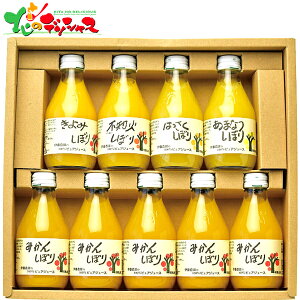 ɓ_ 100 sAW[X 9{ݔ׃Zbg 50709gs 2025 Mtg 蕨  j  Ԃ j v[g  Ε  t[c W[X t[c t[cW[