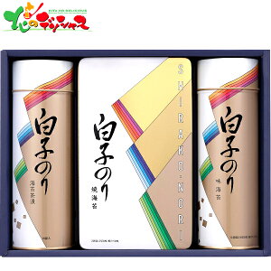 q̂ ̂l SA-300 2025 ~Mtg Ε Ε N N Mtg 蕨  j  Ԃ j v[g C ĂC tC Ђ Zbg lߍ킹 