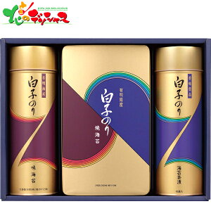 q̂ LCY ̂l NF-300 2025 Mtg 蕨  j  Ԃ j LO v[g  Ε C ĂC tC Ђ Zbg lߍ킹 ΂ O