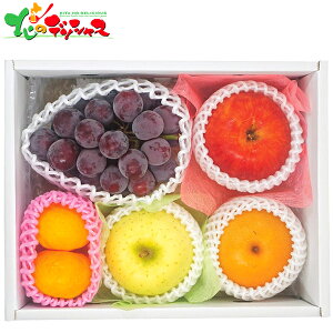 {𖡂키t[clߍ킹 (͂ws/①i) 2025 Mtg 蕨  j  Ԃ j LO v[g  Ε { ʕ t[c t[cZbg t[cl