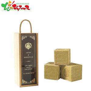 T{h}ZC }ZC rbOL[u Mtg 2025 Mtg 蕨  j  Ԃ j v[g  Ε nh\[v \[v Ό 􂢂 Zbg l