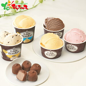 レディーボーデン アソートセット2025 冬ギフト お歳暮 御歳暮 お年賀 御年賀 ギフト 贈り物 贈答 お祝い お礼 お返し 内祝い プレゼント アイス アイスクリーム アソート セット 詰め合わせ