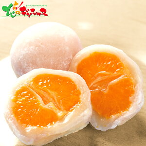 Vn ܂邲Ƃ݂啟(8)2025 ~Mtg Ε Ε N N Mtg 蕨  j  Ԃ j v[g aَq 啟 ݂啟 Zbg lߍ킹 XC[c 